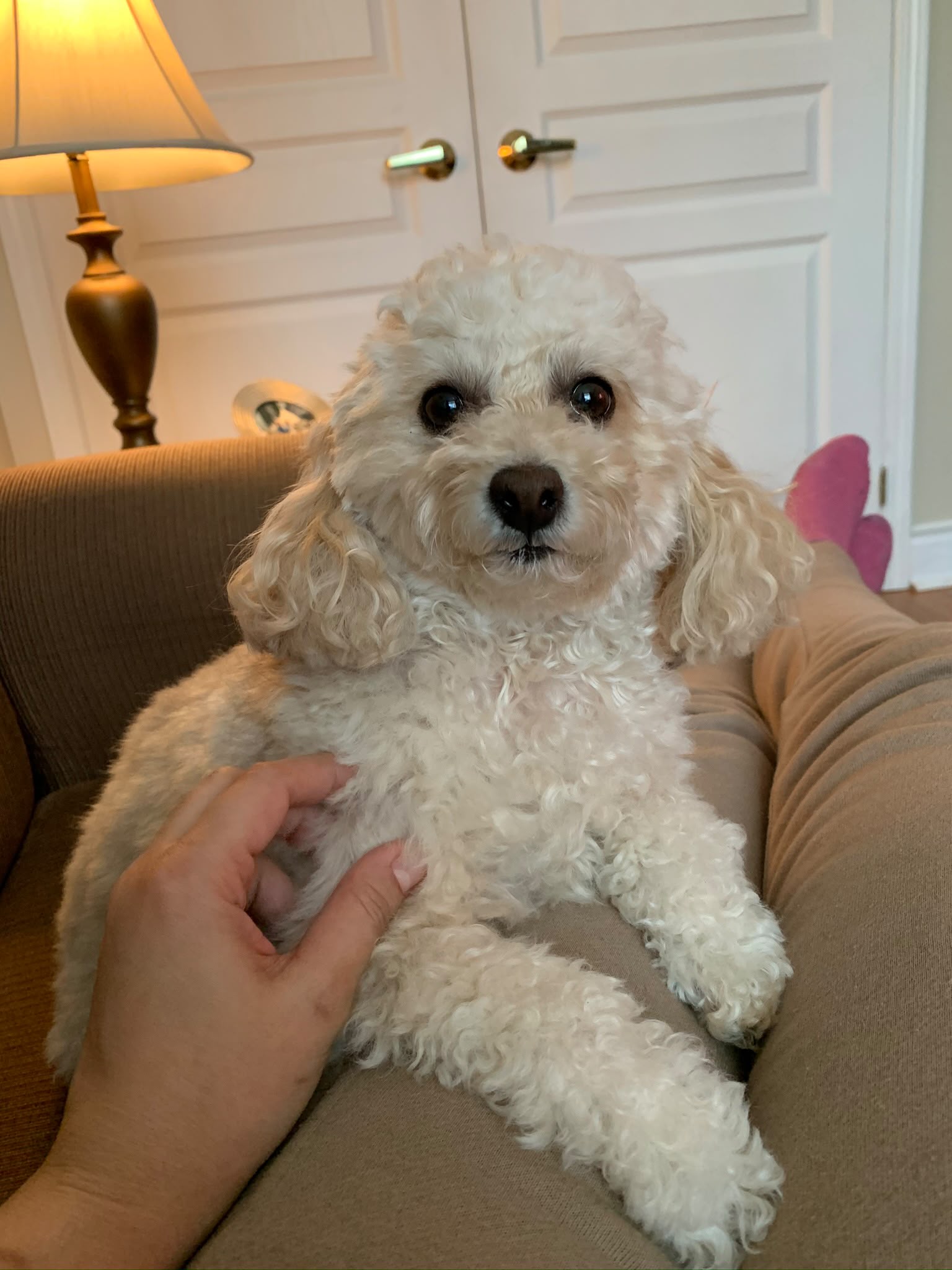 Maddy